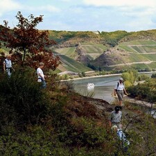 Wanderung mit Rieslingbrunch