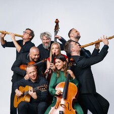 Wildes Holz & Spark