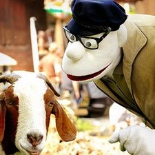 Momsen, Tiere, Sensationen
